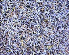 Lavender Dried Buds ~ Organic Flowers ~ Bulk Herbs ~ Lavandula angustifolia