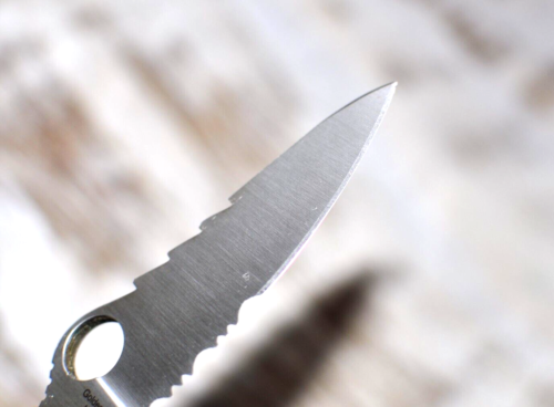 Spyderco Military Knife - RARE - - Imagen 16 de 16