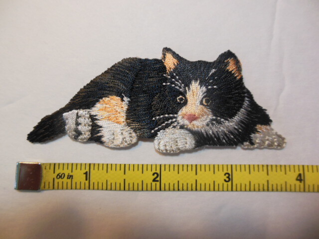 Picture 6 of 9