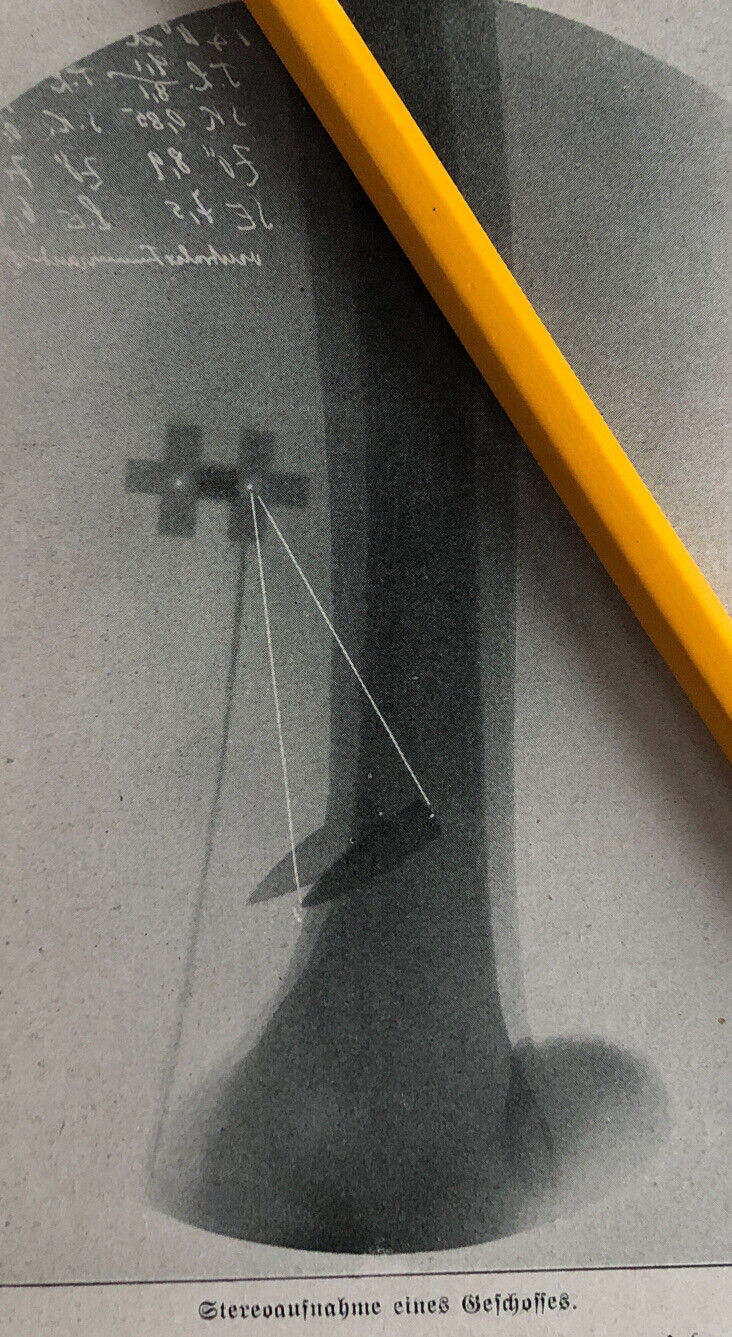 Bild 8 von 11