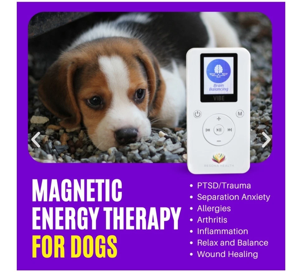 magnético, poderoso, fácil de usar bolso terapia PEMF VIBE 60 vagas coração nervoso ptsd - Imagem 3 de 4