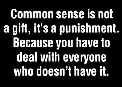 Common Sense Punishment Because You Have Deal Everyone Doesn't Have It MAGNET