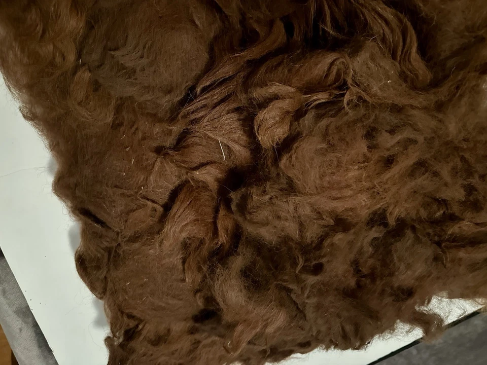 3 Pounds 9.6oz Llama Red Fawn Natural Spinning Fiber (B36) - Image 4 of 4