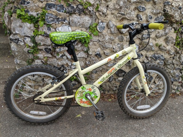 apollo woodland charm bike