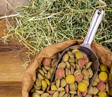 deuka deukavallo Leckerli 10 kg Pferdeleckerli Pferdefutter Belohnung Mischung