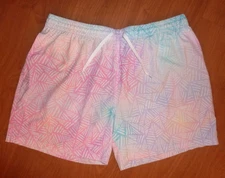 Chubbies Men's 5.5" Inseam Lined Swim Trunks Sz 2XL Pastel Multicolor Geometric