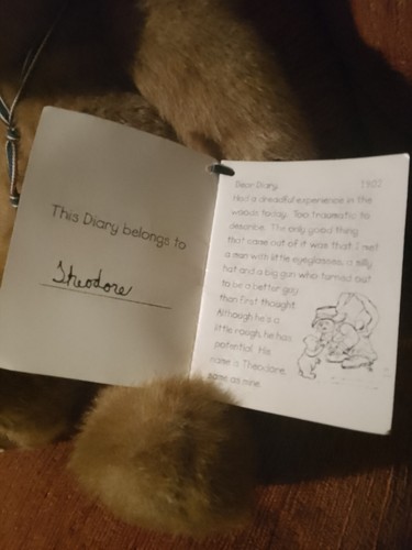 Boyds Theodore 2002 100th Anniversary collectors Edition Bear - Picture 8 of 12