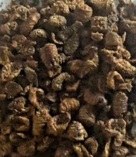 SILKWORM PUPAE FOR KOI POND FISH AQUARIUM FISH TURTLES TERRAPINS KOI TREATS