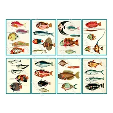 Tropical Fish Illustrations, 8 Decals on 1 Sticker Sheet, Vintage Journal Tags
