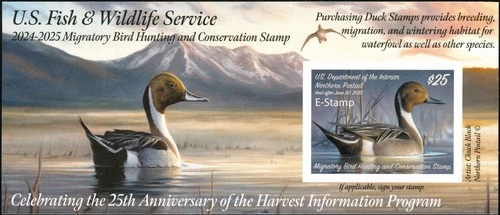 RW91B 2024 -  E  STAMP  Federal Duck Stamp  Similar to RW91A SCARCE MINT NH