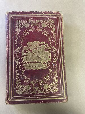 The Evergreen By Rev. Edward A. Rice