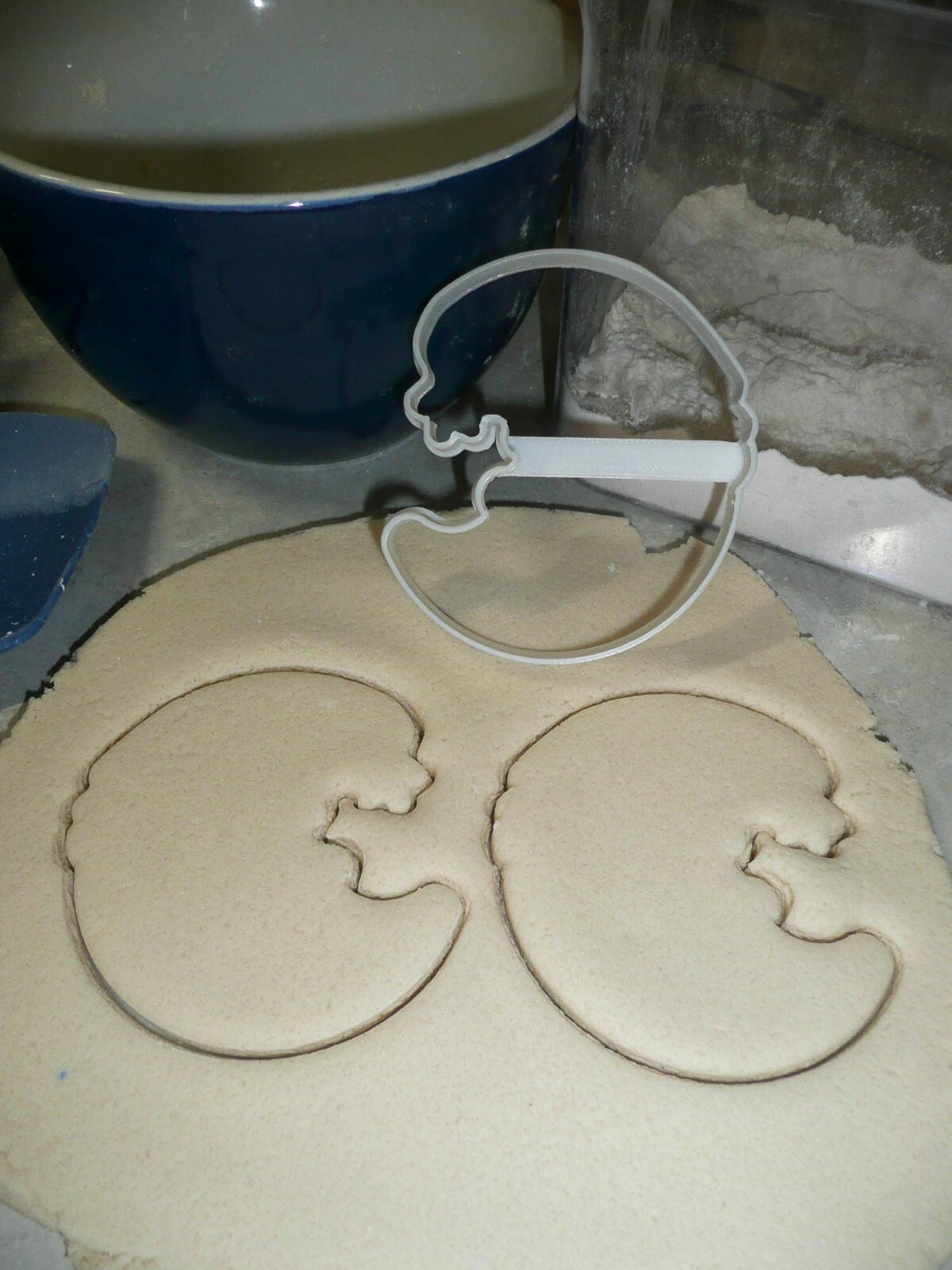 Picture 9 of 12