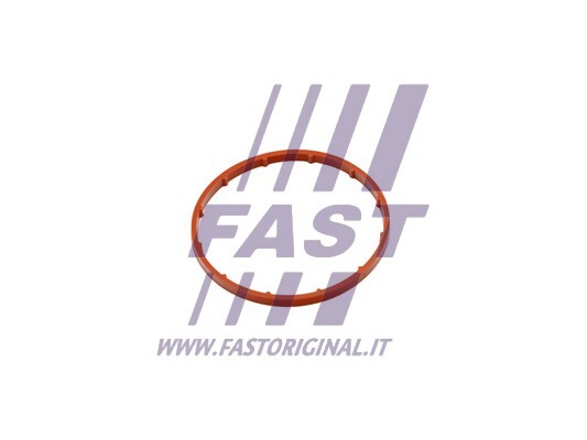 Vacuum pump gasket FT50701 FAST for CITROËN PEUGEOT - Image 2