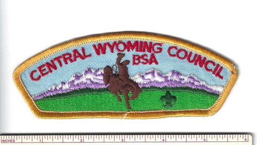 DY SCOUT BSA CSP CENTRAL WYOMING COUNCIL MERGED 2016 INSIGNIA SHOULDER PATCH WY