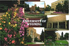 Laramie Wyoming The University of Wyoming Buildings Vintage Postcard