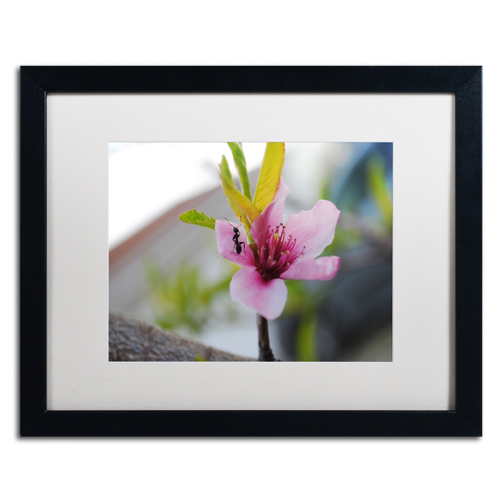 Expressive Individuality by Monica Mize Frame, 16