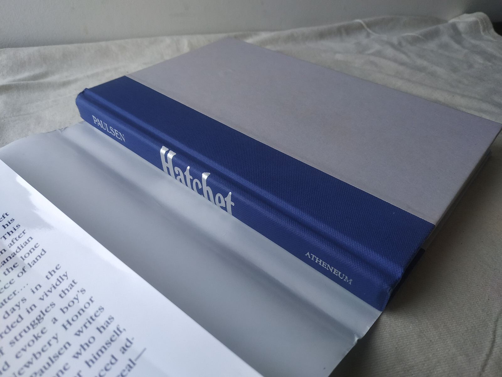 Hatchet by Gary Paulsen Hardcover w Dustjacket Atheneum 9780689840920 ...