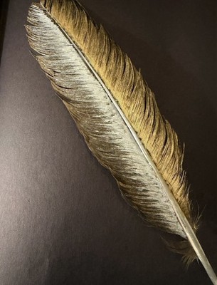  Real feather- handpainted 