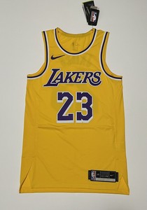 Nike Lebron James Lakers Icon Edition 