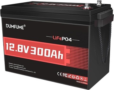 12V 300Ah LiFePO4 Lithium Battery BMS 3840Wh Rechargeable For RVs Solar Marine