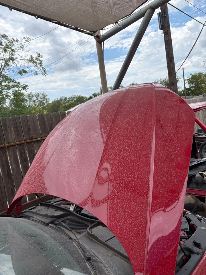 2018 2019 2020 2021 2022 2023 AUDI A5 S5 RS5 CAPÓ DELANTERO OEM SOLO RECOGIDA Foto 3 de 4