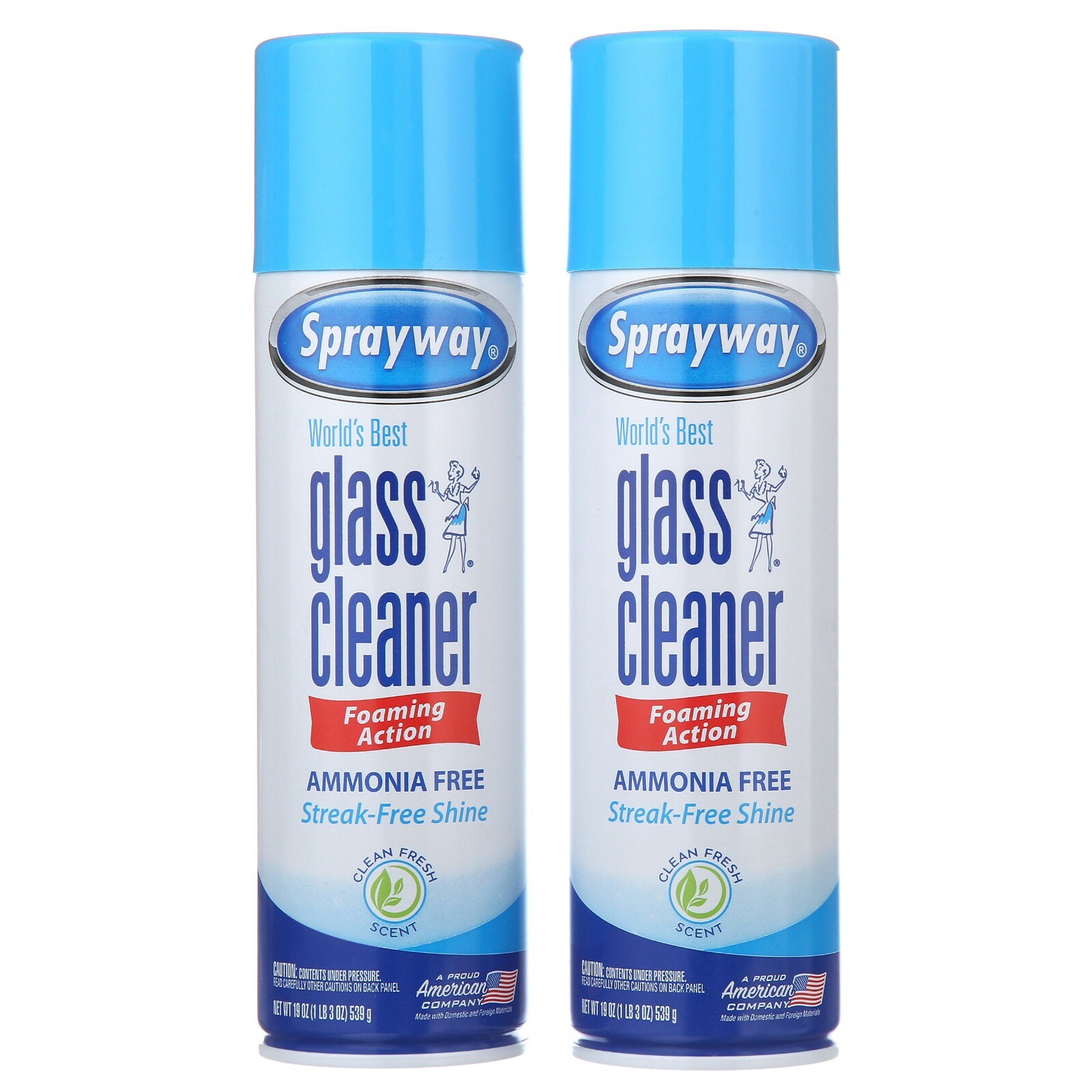 (2Pack) Sprayway Best Heavy Duty Glass Cleaner with Foaming Action 19