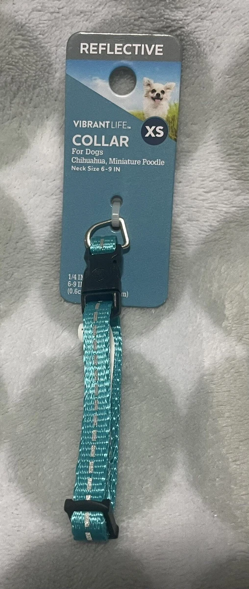 Vibrant Life Reflective Nylon Collar for Dogs Teal Blue X Small