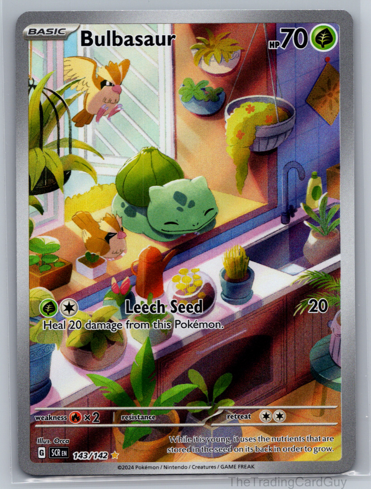 Bulbasaur 143/142 SV07: Stellar Crown Pokemon Card NM