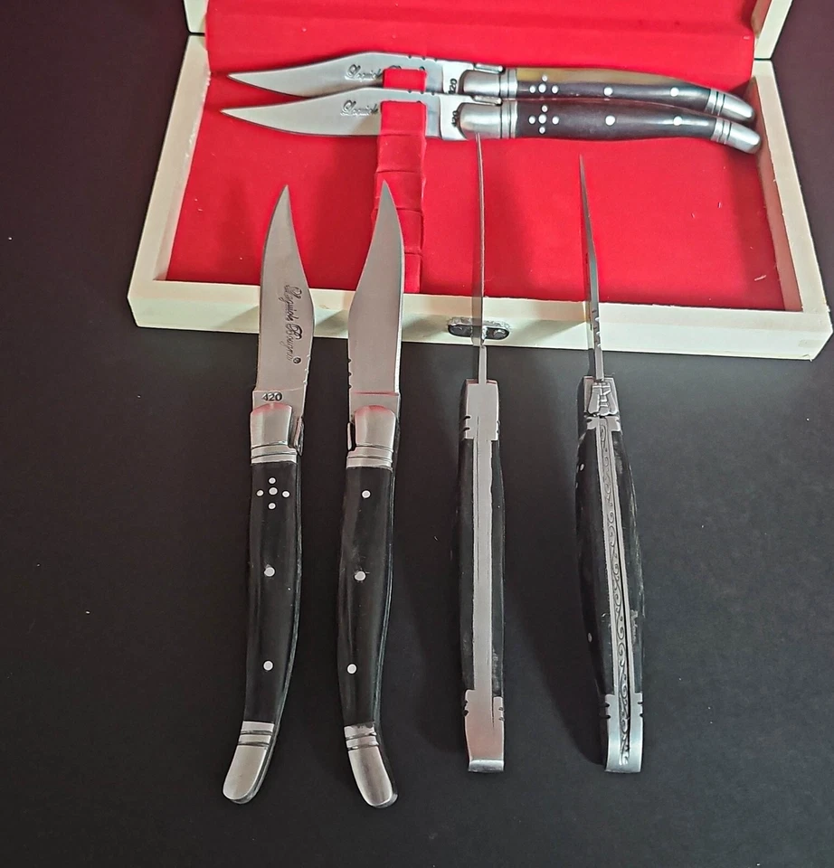 Juego de 6 cuchillos para carne con mango Laguiole francés Foto 3 de 4