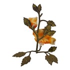 Foto 3 di 8