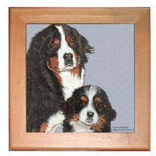 Bernese Mountain Dog Kitchen Ceramic Trivet Framed in Pine 8" x 8"