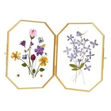 Double Glass Picture Frame Handmade, Glass Pressed Flower Frame, 6L" x 8W" Gold