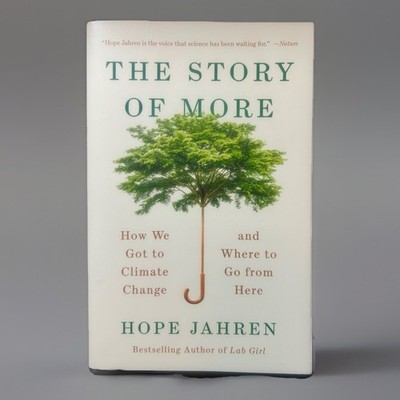 The Story of More : How We Got to Climate Change and Where to Go from Here by