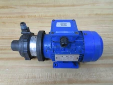 Finish Thompson DB5V-T-M613 Magnetic Drive Pump 107597-3 Tested