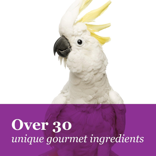 F.M. Brown'S Tropical Carnival, Gourmet Macaw Food Big Bites for Big Beaks - See - Picture 6 of 12
