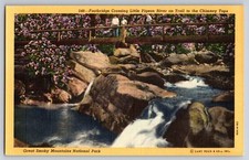Postcard Footbridge Little Pigeon River to Chimney Tops Tennesse Curt Teich E 17