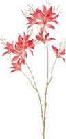 artplants Deko Zweig Gartenamaryllis Frihel, Lachs, 80Cm
