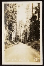 RPPC, Car on Mt. Baker Hwy, Washington. Circa 1930's Ellis