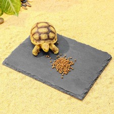 Natural Slate Basking Platform for Reptiles Bearded Dragon Tortoise Turtle Ha...