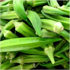 100 Emerald Okra Seeds for Planting Non GMO Heirloom Seeds Instant Latch Fresh G