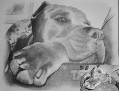 Monochrome Full Body Custom Pet Portrait