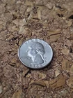 1964 Washington Silver Quarter 25 Cents 25C