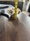 Large geode crystal cluster, natural crystals — photo 6