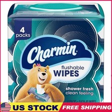 Flushable Wipes 4 Packs 160 Sheets Resealable Top Convenient Bathroom Use