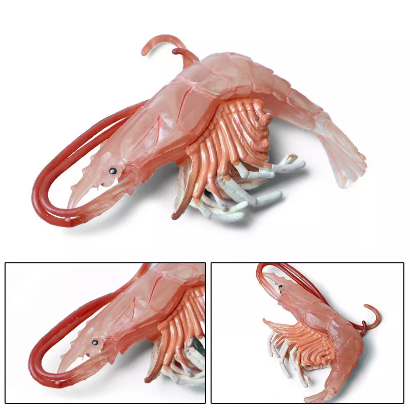 2Pcs Krill Prawn Shrimp Figure Ocean Animal Model Toy Decor