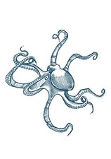 Octopus2 Hand-drawn Art, A6 Print , wall decoration for interior design.