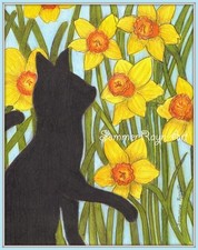 Black cat in a Daffodil flower garden, Spring, cards, prints, magnet, Item 1095