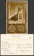 Bulldog Bull Perro Cachorro Gato Negro Gatito Amoroso Cumpleaños Deseos Antiguo R.P. Postal