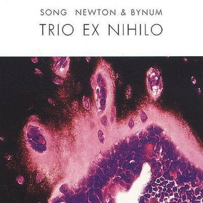 Jeff Song - Trio Ex Nihilo [New CD]