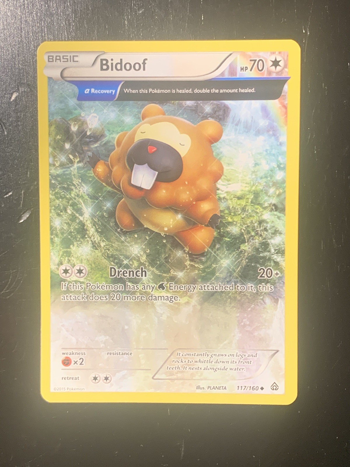 NM/LP Bidoof (Alpha) 117/160 XY - Primal Clash Reverse Holo